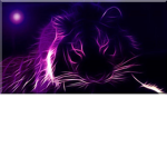 london lions... im lonley