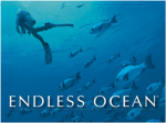 EndLessOcean