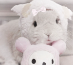 /pwziess Group Thumbnail