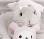 /pwziess Group Thumbnail