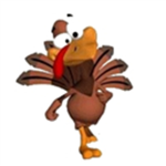 Turkey Lovers Unite!