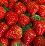 Sophss~Strawberrys