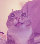 Eve's rps