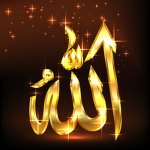 The Islam Group