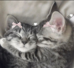 What is Love??