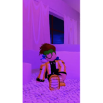 old_rblx_fans