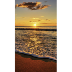 SUNSET PARDISE