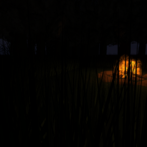 Campfire