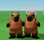 Capybara Cult :D