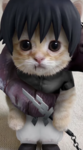MagmaKingdom