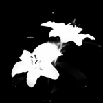 ・Ｓy s t e m・