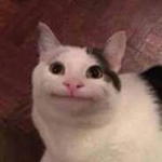 Hi everyone want robux