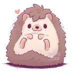 Fellow Hedgehog Friends!