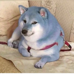 gwew w rrrgrwrewgr
