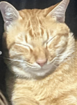 Auekan