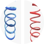 Speed Coil + Jump Coil