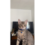 [ Content Deleted 9576544 ]