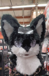 Katt's Furry Group
