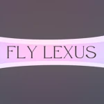 Fly Lexus Group Thumbnail