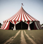 Giggles The Clown’s Circus of Fun!
