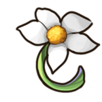 Completionist I