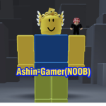 Ashin-Gamer fans