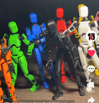 T13 group