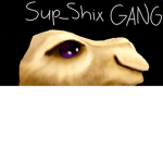 SUP_SHIX GANG