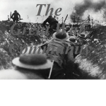 The WW1 Community