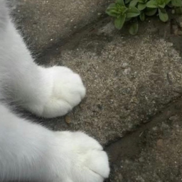 ☆