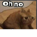 Roka pls XDXD Funni RKer