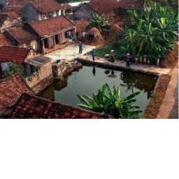 Vietnam RP