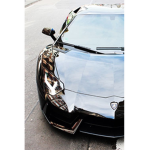 |Jacksonville Jaguars Fan Club|