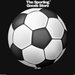 The Sporting Goods Store