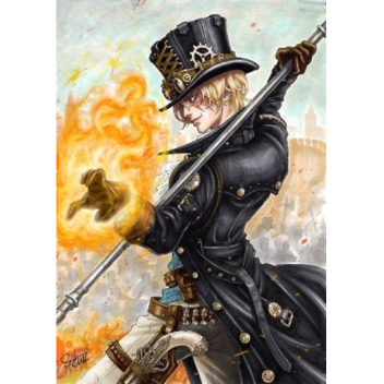 One Piece : A New Era