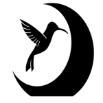The Black Dawn society