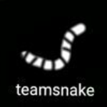 Team snake players