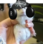 ChickenNugget_ Group Thumbnail