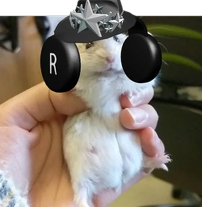 ChickenNugget_ Roblox group icon