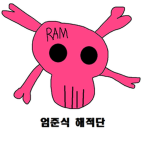 로블의 기묘한 해적
