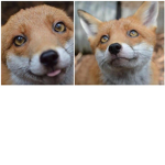 Video Game Foxes