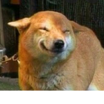 Sly Dog United