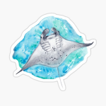 Stingray City<3