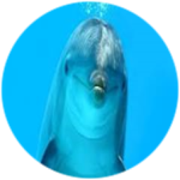 WATER CROSSROADS WITH DOLPHINS