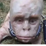 Pablo est le meilleur