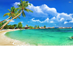 #Tropical Paradise Squad