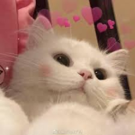 annazxq