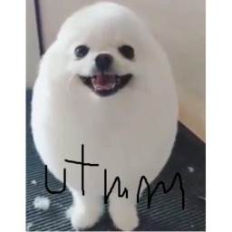 Egg Utmm ( RETAKE )