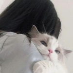 アンチトランス