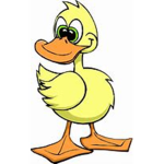 Ducklings Homestore
